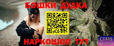 spice Бийск