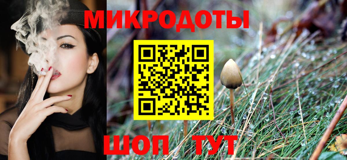 Псилоцибиновые грибы Magic Shrooms  Вход с VPN  Гатчина 
